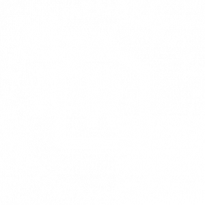 Rekryteringsinstitutet logo